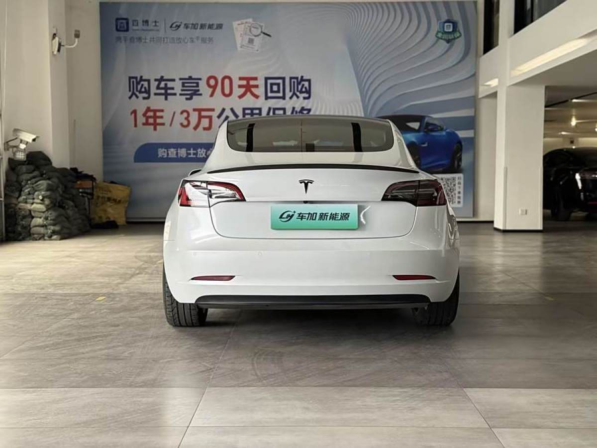 特斯拉 Model 3  2021款 Performance高性能全輪驅(qū)動版 3D6圖片