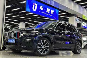 宝马X5 宝马 xDrive30i X设计套装