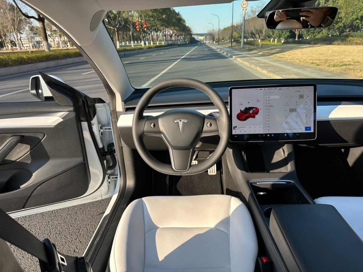 特斯拉 Model 3  2021款 Performance高性能全輪驅(qū)動版圖片