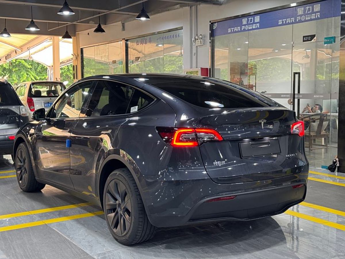 特斯拉 Model Y  2024款 長續(xù)航全輪驅動版圖片