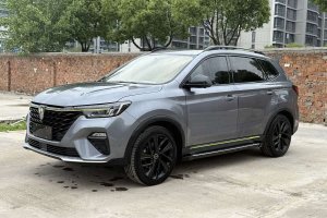 RX5 榮威 PLUS 300TGI 自動(dòng)Ali國(guó)潮豪華榮麟版