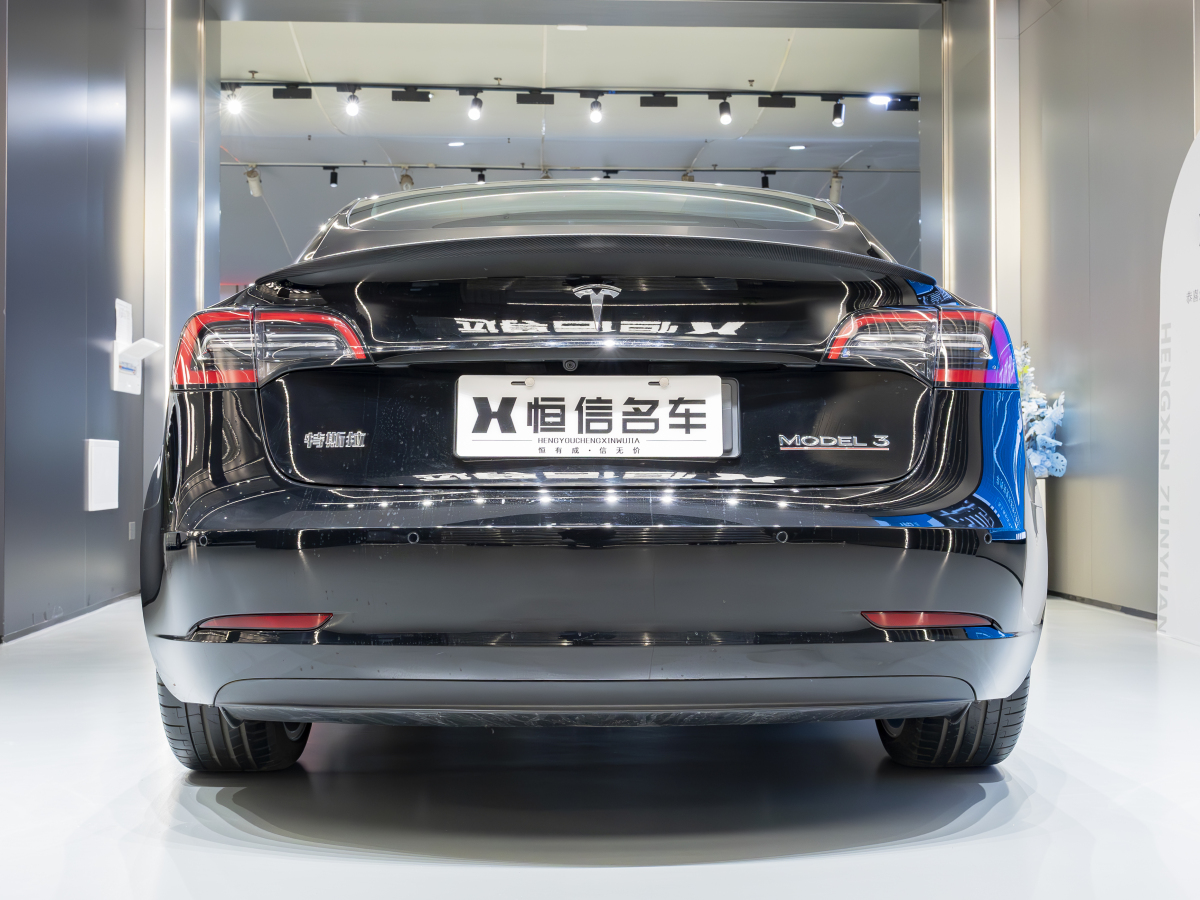 特斯拉 Model 3  2019款 Performance高性能全輪驅(qū)動(dòng)版圖片