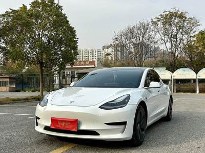 2020年6月 特斯拉 Model 3 標(biāo)準(zhǔn)續(xù)航后驅(qū)升級版圖片