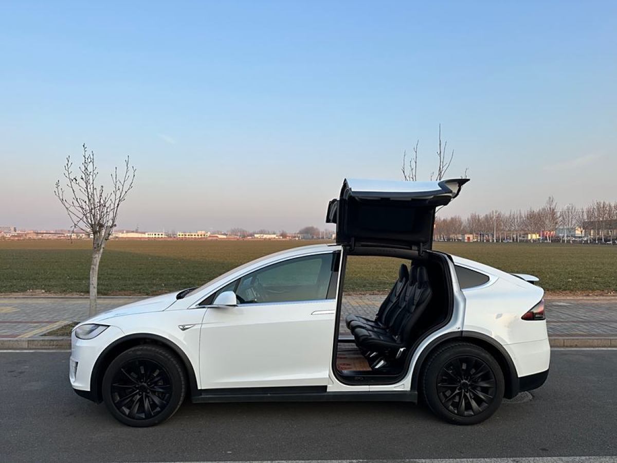 特斯拉 Model X  2016款 Model X 60D圖片