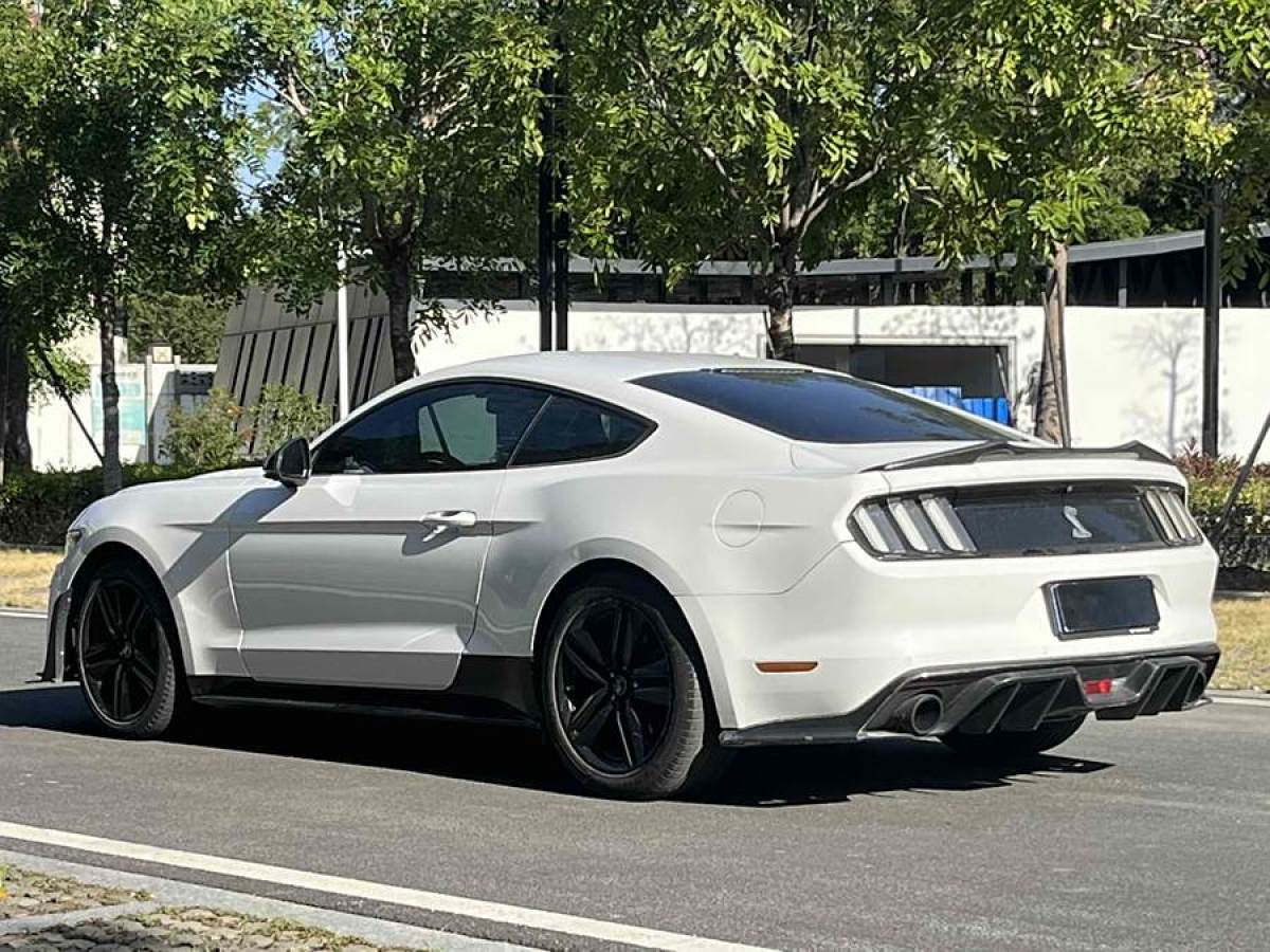 福特 Mustang  2015款 2.3T 性能版圖片