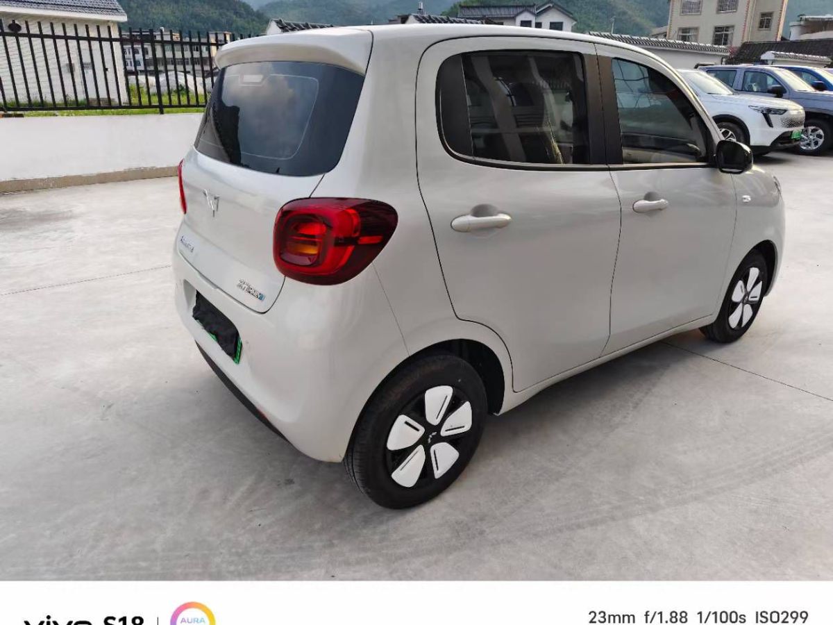 五菱 菱勢(shì)黃金小卡  2025款 倉柵 頂配版圖片