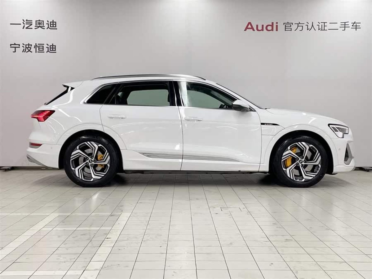 奧迪 奧迪e-tron  2021款 50 quattro 臻選型圖片