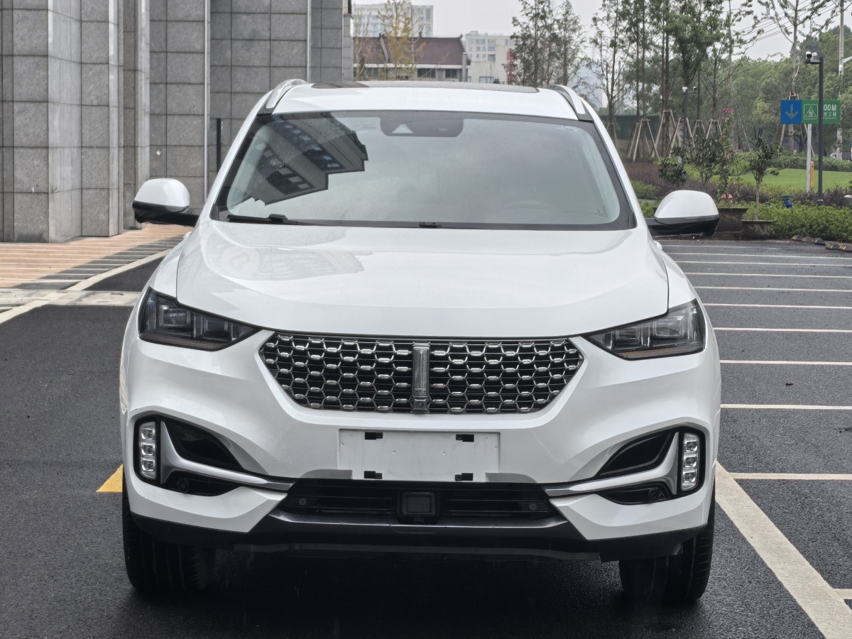 WEY VV6  2021款 2.0T 兩驅(qū)智護(hù)+圖片