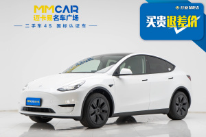 Model Y 特斯拉 改款 长续航后轮驱动版