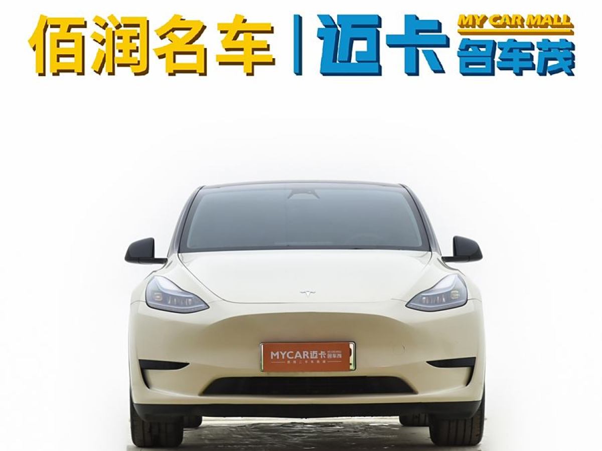 特斯拉 Model 3  2020款 改款 長續(xù)航后輪驅(qū)動版圖片