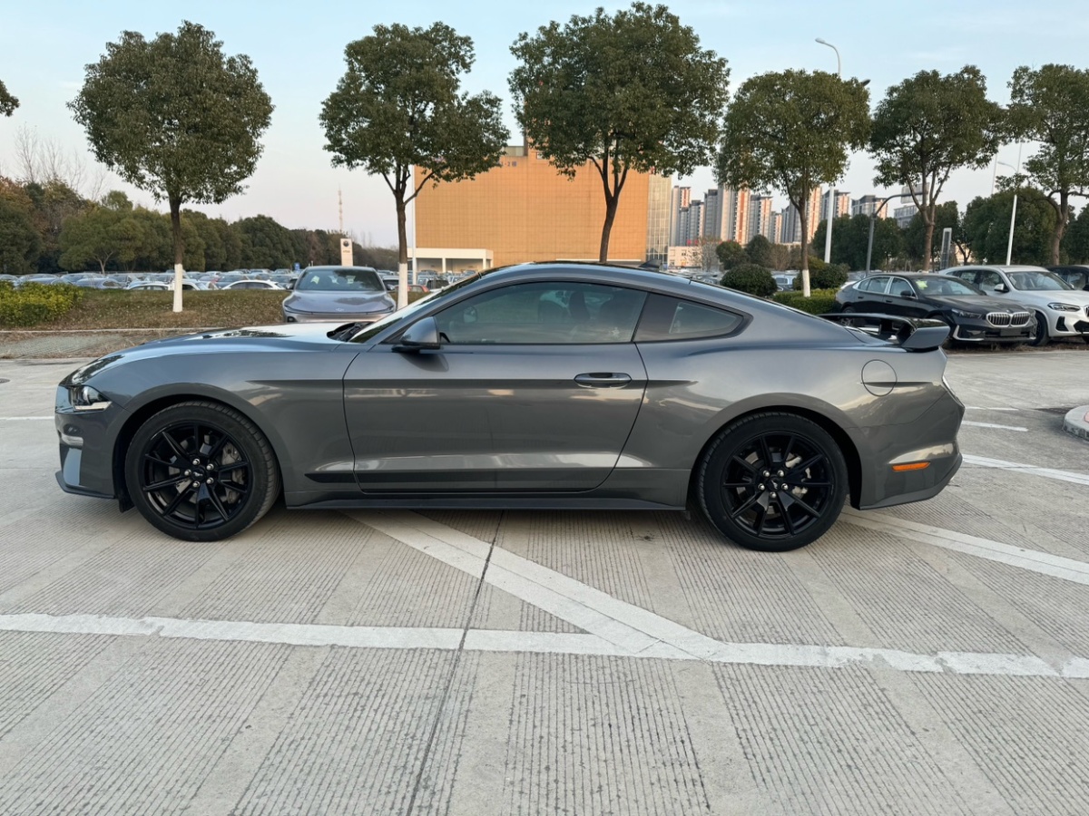 福特 Mustang  2021款 2.3L EcoBoost 黑曜魅影特別版圖片