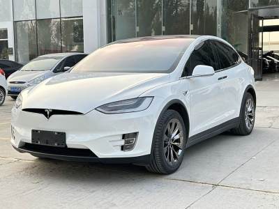 2019年7月 特斯拉 Model X 標(biāo)準(zhǔn)續(xù)航版圖片