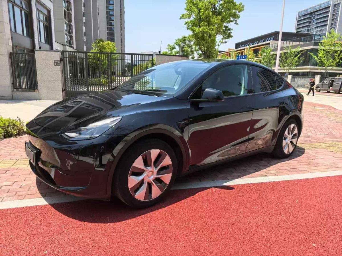 特斯拉 Model Y  2022款 Performance高性能全輪驅(qū)動(dòng)版圖片