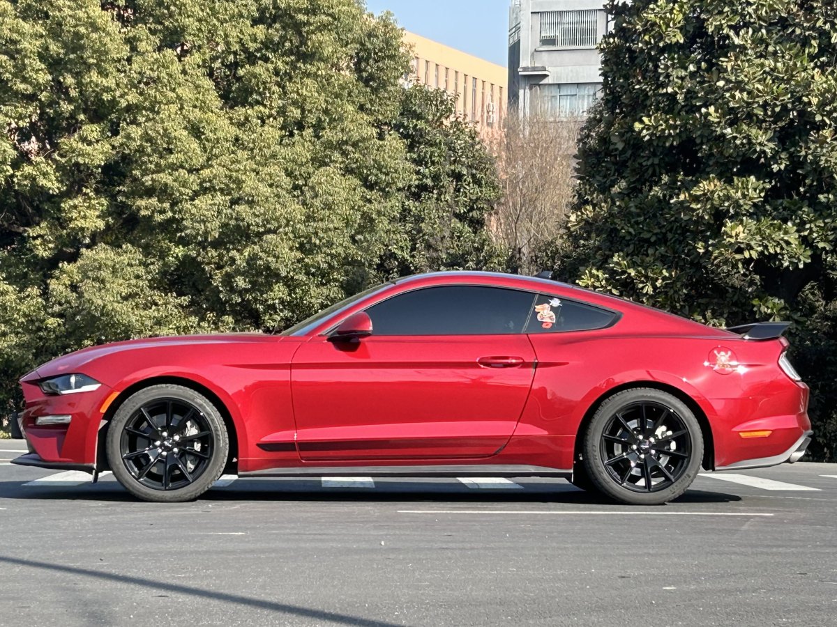 福特 Mustang  2021款 2.3L EcoBoost 黑曜魅影特別版圖片