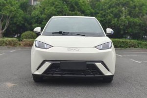 海鷗 比亞迪 305km 活力版