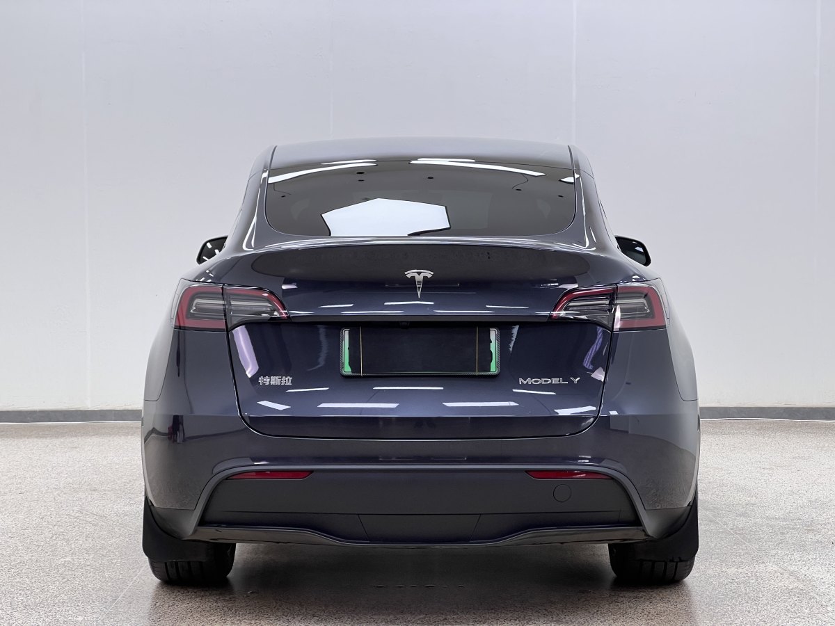 特斯拉 Model Y  2020款 改款 長續(xù)航后輪驅(qū)動(dòng)版圖片