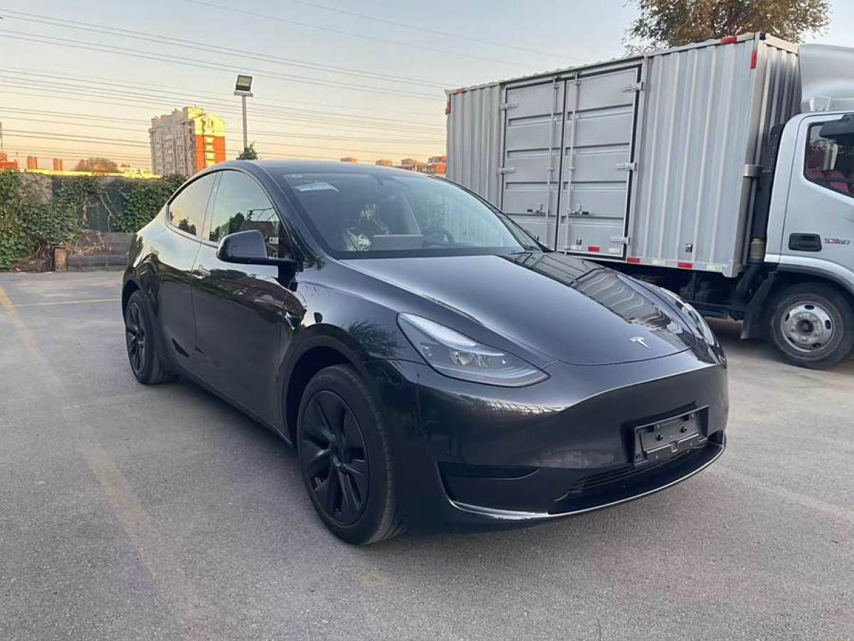 特斯拉 Model Y  2020款 改款 长续航后轮驱动版图片