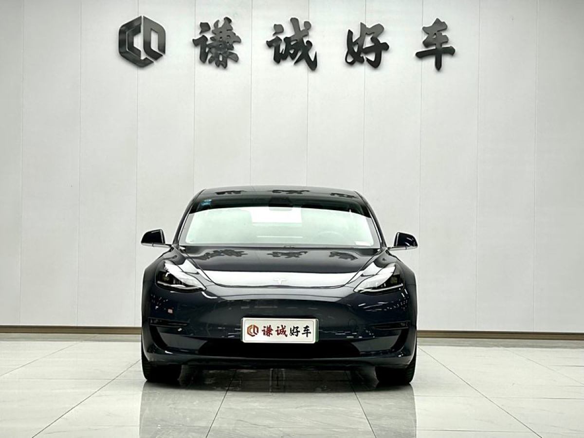 特斯拉 Model 3  2020款 改款 長續(xù)航后輪驅(qū)動(dòng)版圖片