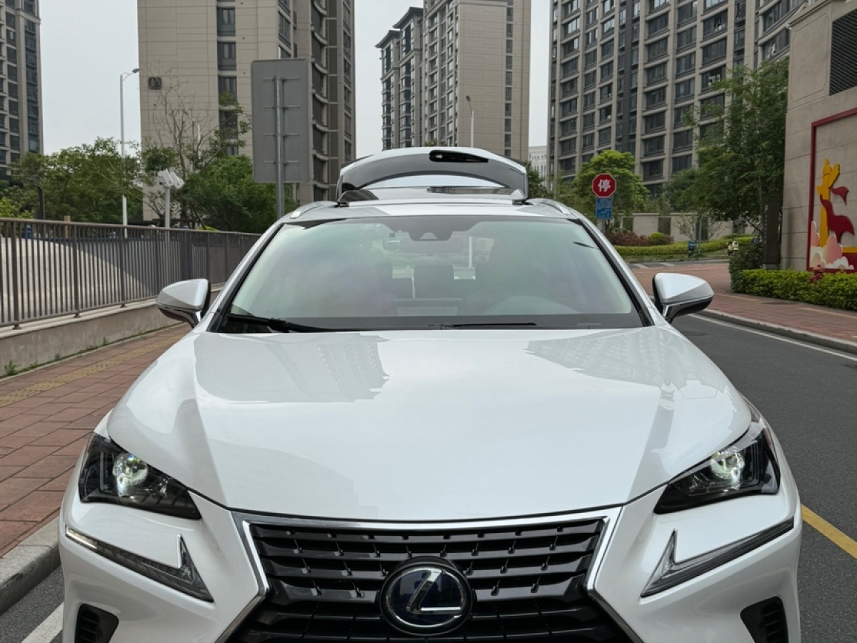 雷克萨斯 NX  2020款 300h 前驱 锋尚版 国V图片