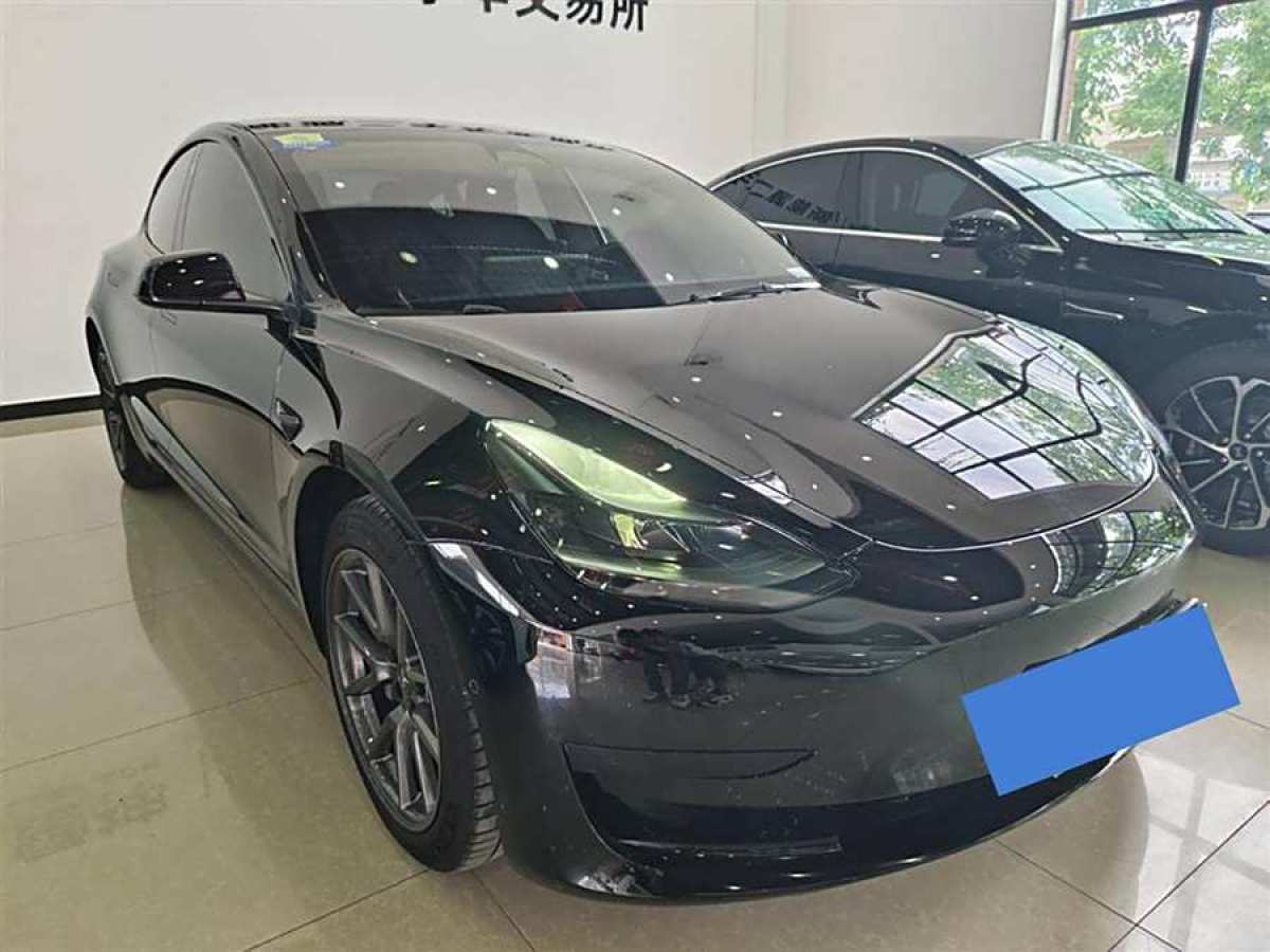 2022年4月特斯拉 Model 3  2022款 改款 后輪驅(qū)動(dòng)版