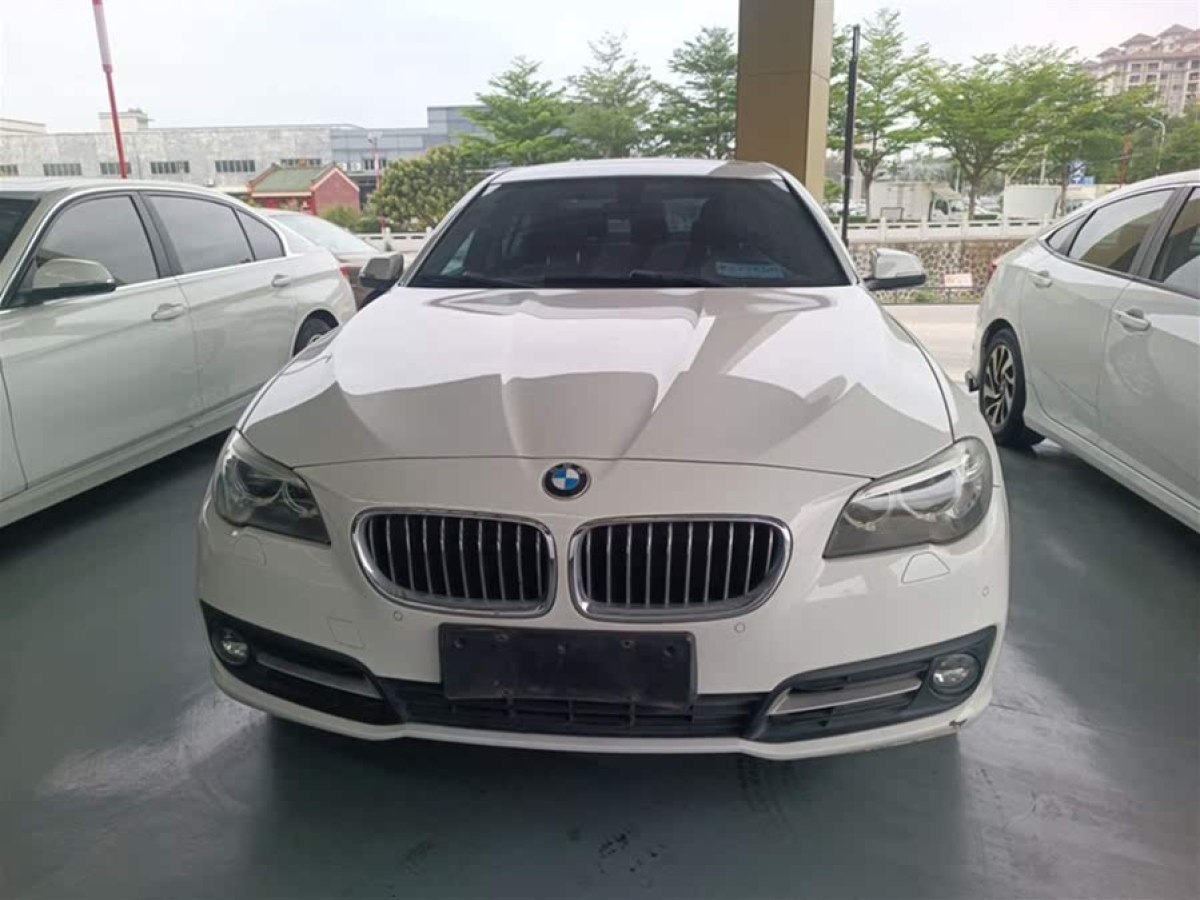 寶馬 寶馬5系  2014款 530Li 領(lǐng)先型圖片