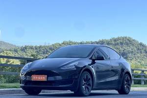 Model 3 特斯拉 改款 长续航后轮驱动版