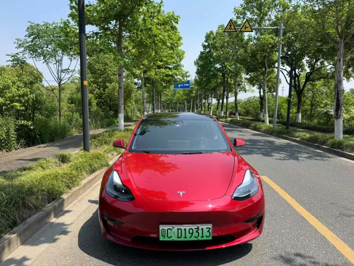 特斯拉 Model S  2021款 Performance 高性能版圖片