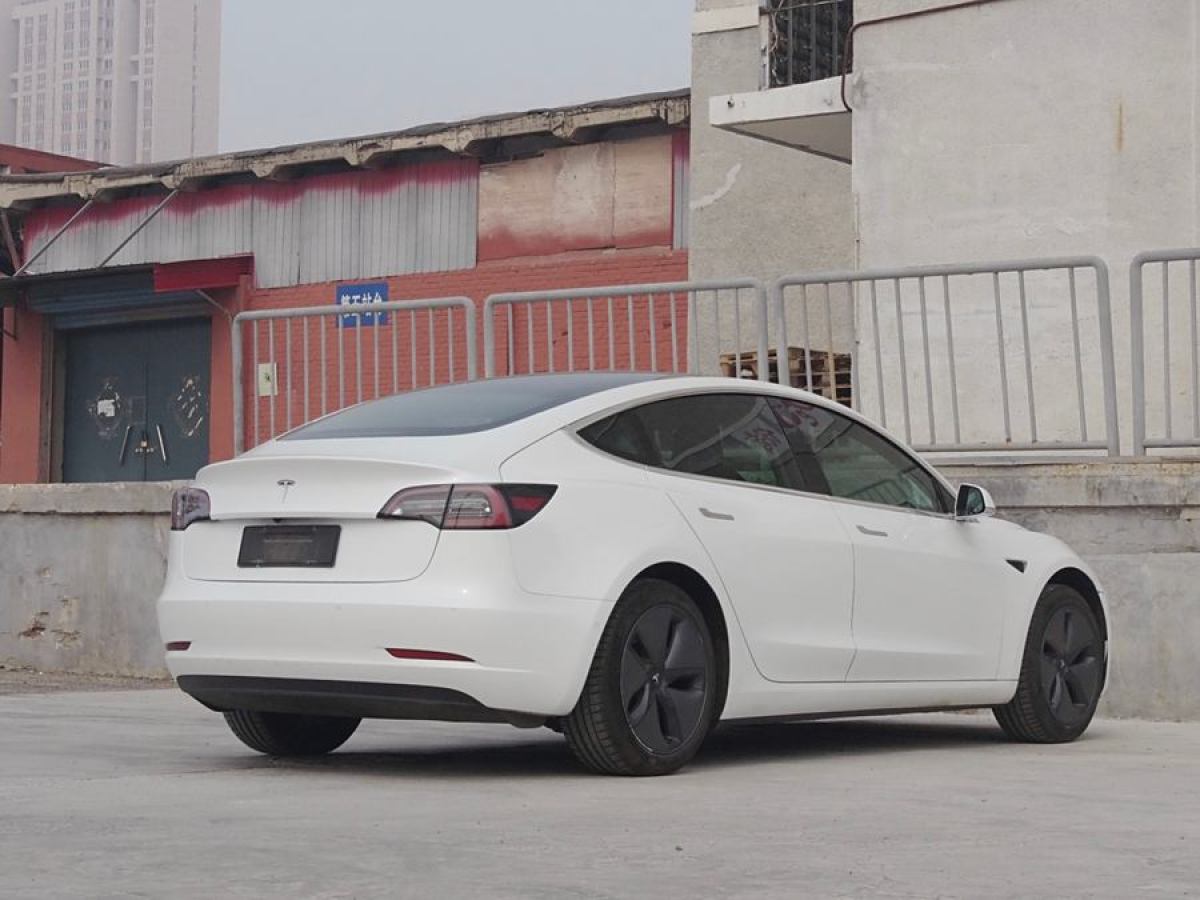 特斯拉 Model 3  2019款 長(zhǎng)續(xù)航后驅(qū)版圖片