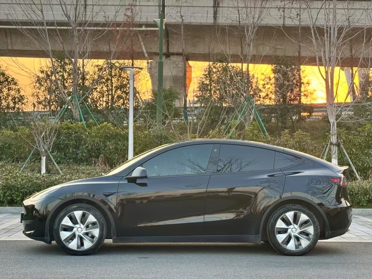 特斯拉 Model 3  2022款 后輪驅(qū)動(dòng)版圖片