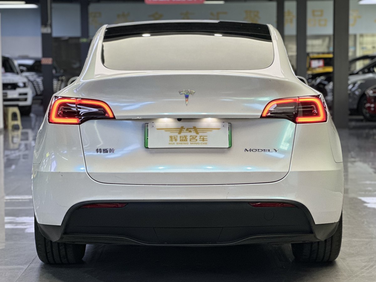 特斯拉 Model 3  2020款 改款 長續(xù)航后輪驅(qū)動版圖片