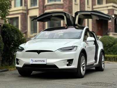 2018年10月 特斯拉 Model X Model X 100D 長(zhǎng)續(xù)航版圖片