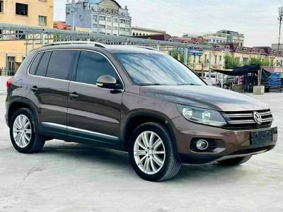 2015年2月 大眾 Tiguan(進(jìn)口) 2.0TSI 舒適版圖片