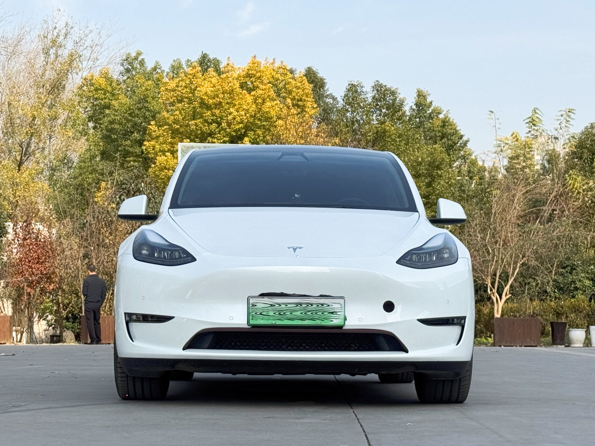 特斯拉 Model 3  2023款 長續(xù)航煥新版 雙電機(jī)全輪驅(qū)動圖片