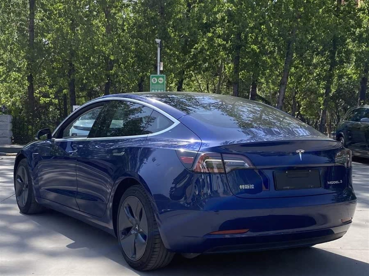 特斯拉 Model 3  2019款 標(biāo)準(zhǔn)續(xù)航后驅(qū)升級版圖片
