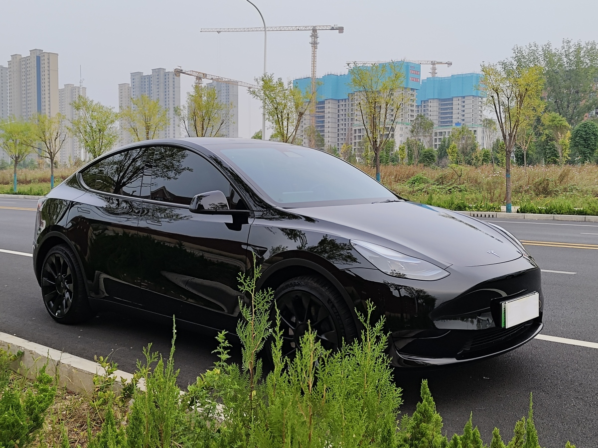 特斯拉 Model Y  2022款 后輪驅(qū)動版圖片