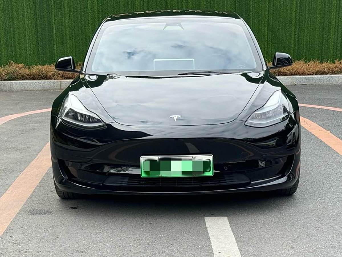 特斯拉 Model 3  2021款 標準續(xù)航后驅(qū)升級版 3D6圖片