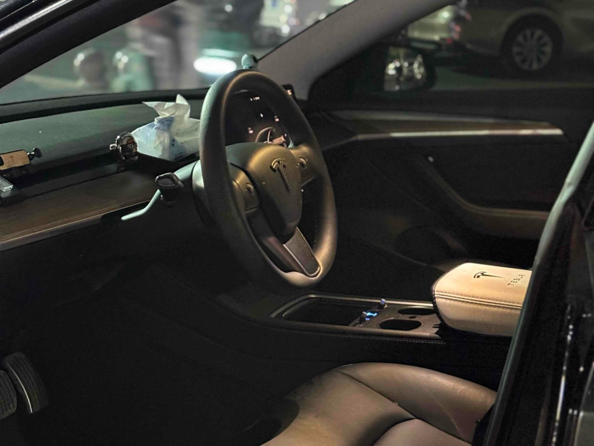 特斯拉 Model 3  2022款 后輪驅動版圖片