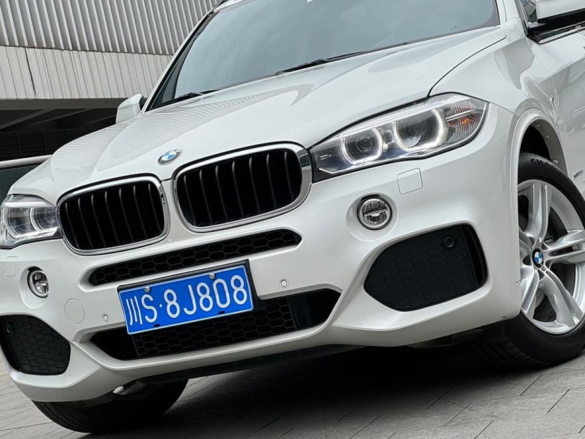 寶馬 寶馬X5  2014款 xDrive35i 領(lǐng)先型圖片