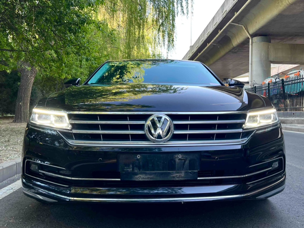大眾 輝昂  2019款  380TSI 兩驅(qū)商務(wù)版 國V圖片