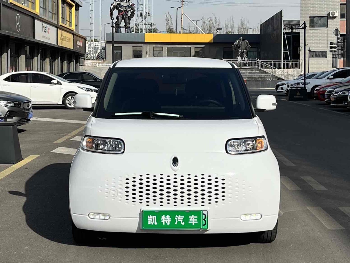 歐拉 歐拉白貓  2020款 360km 標(biāo)準(zhǔn)型圖片