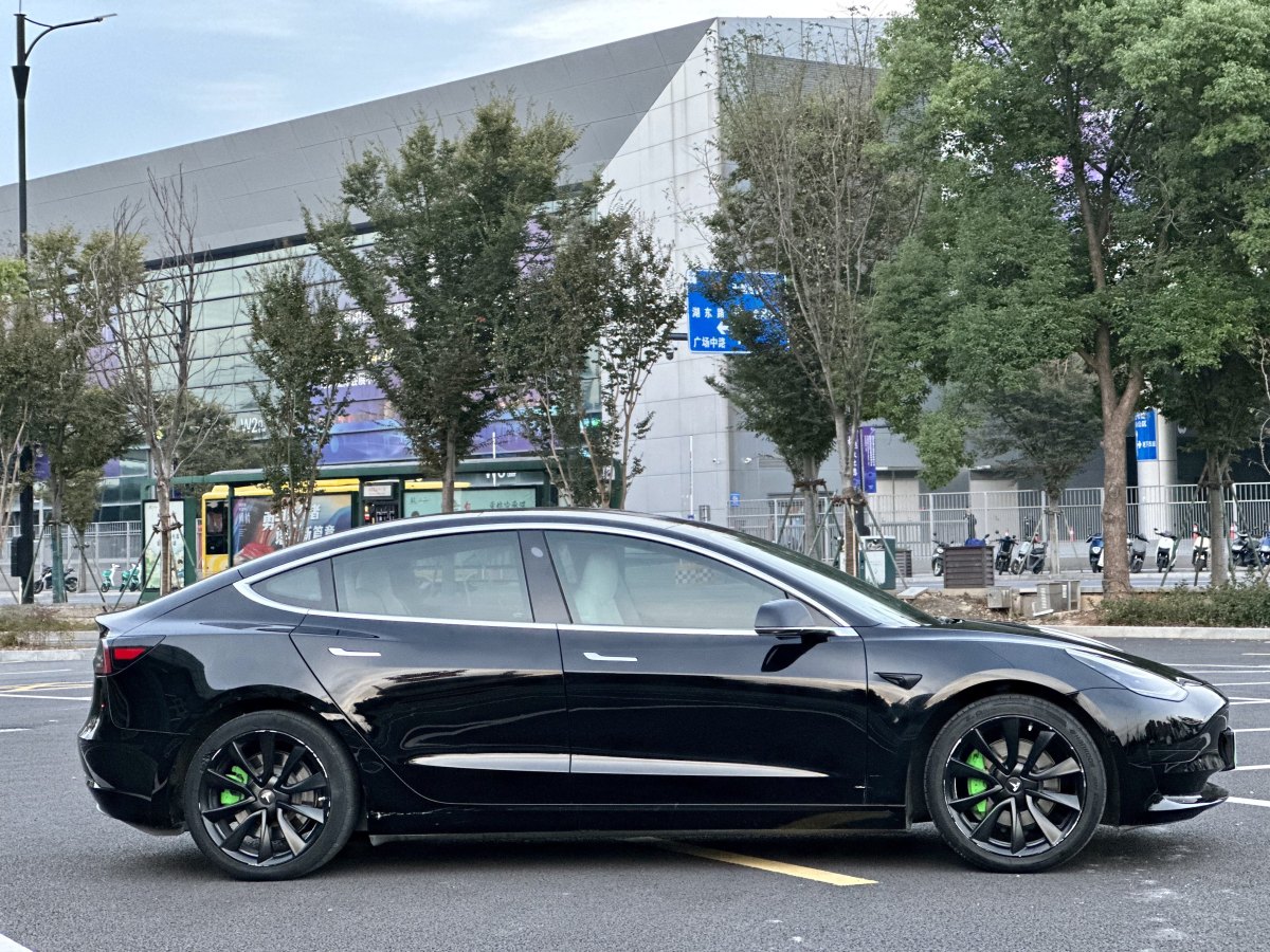 特斯拉 Model 3  2019款 標(biāo)準(zhǔn)續(xù)航后驅(qū)升級(jí)版圖片