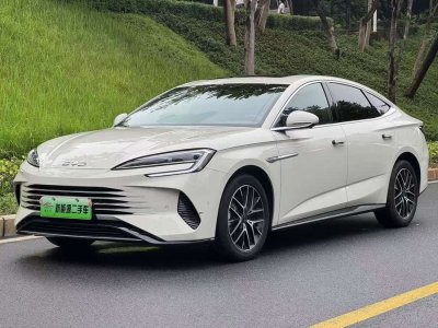 2024年10月 比亞迪 海豹07 DM-i DM-i 1.5T 125km 旗艦型圖片