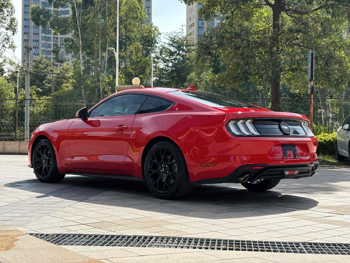 福特 Mustang  2020款 2.3L EcoBoost圖片