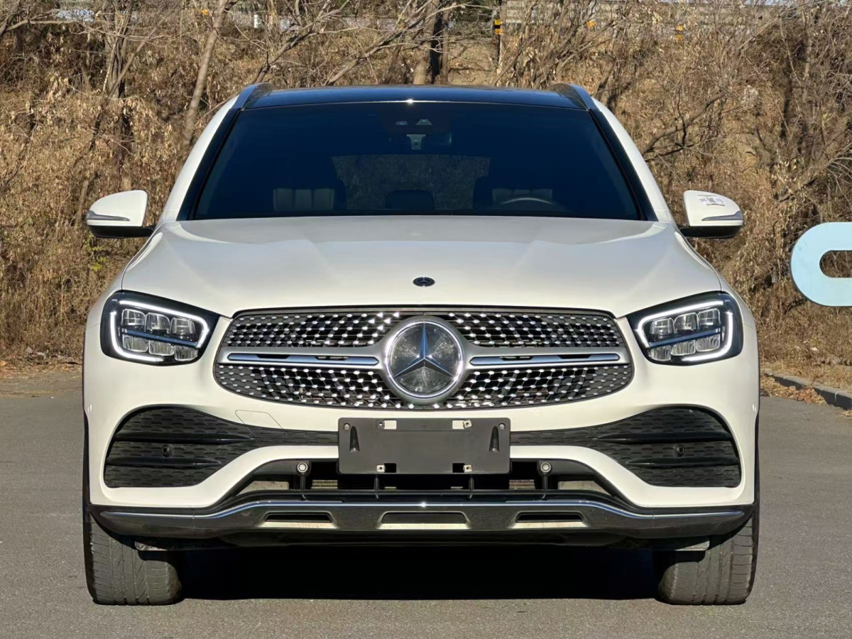 奔馳 奔馳GLC  2020款 GLC 300 L 4MATIC 動感型圖片