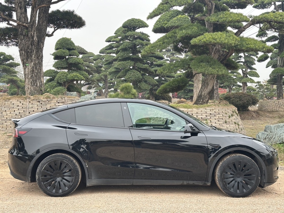 特斯拉 Model Y  2022款 后驅(qū)版圖片