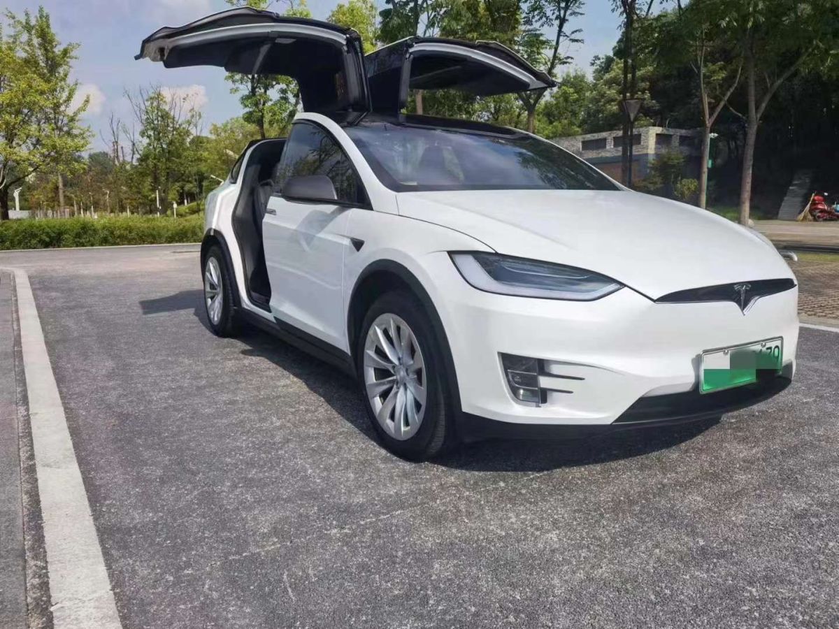 特斯拉 model x 2020款 performance 高性能版圖片