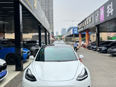 2020年3月 特斯拉 Model 3 標(biāo)準(zhǔn)續(xù)航后驅(qū)升級版圖片