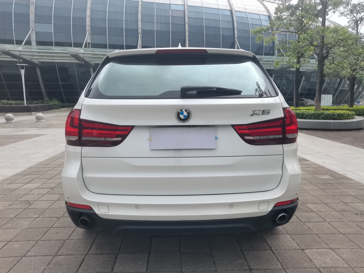 寶馬 寶馬X5  2014款 xDrive35i 領(lǐng)先型圖片