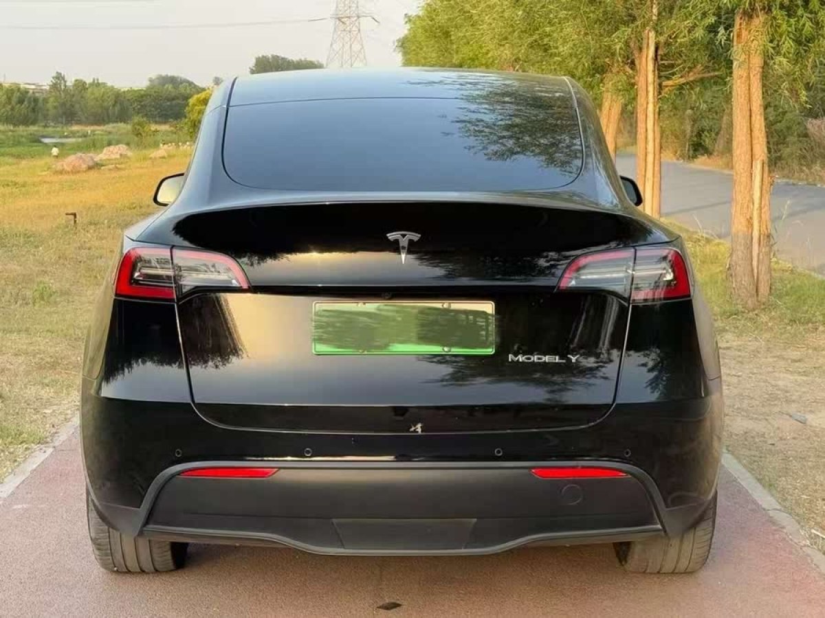 特斯拉 Model Y  2021款 標(biāo)準(zhǔn)續(xù)航后驅(qū)版圖片