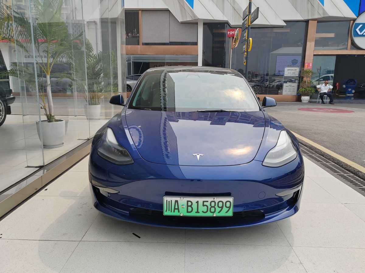 2023年10月特斯拉 Model 3  2019款 Performance高性能全輪驅(qū)動(dòng)版